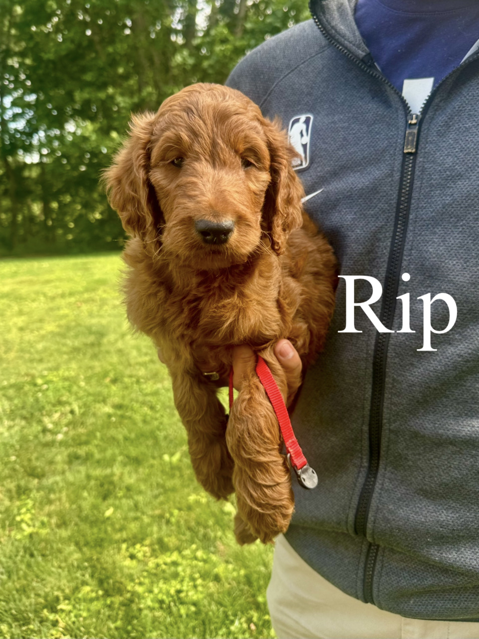 Rip 1